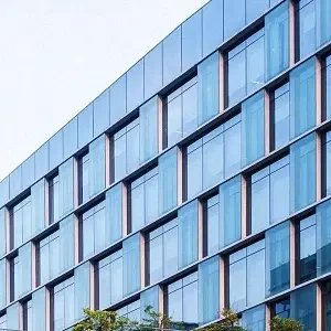 curtain wall (已调整大小)